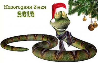 гадания,новый год,змея,приметы,традиции,свечи,суженый,новогодние гадания